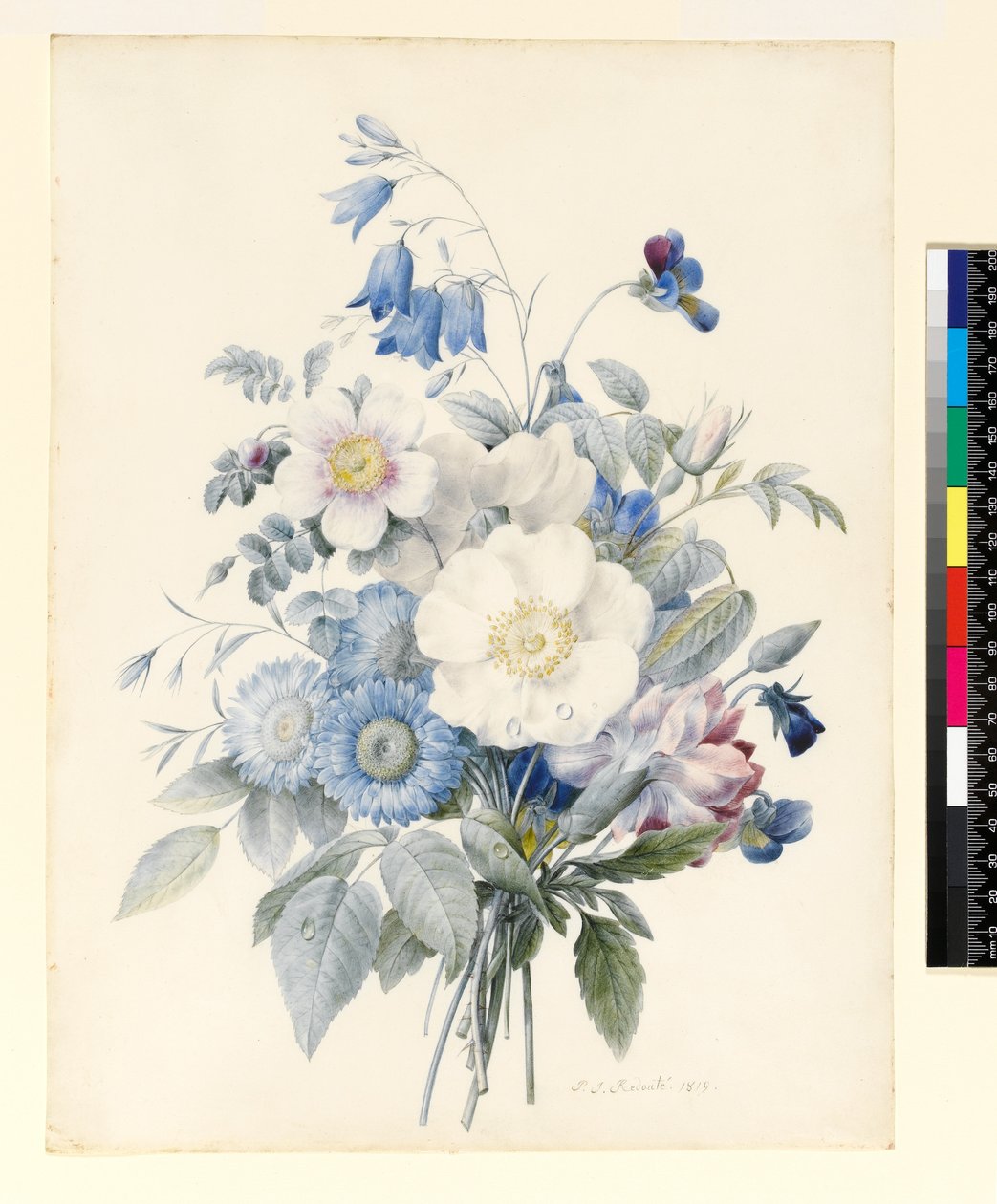 PD.847-1973 Kiść letnich kwiatów, 1820 (wc i gwasz na welinie) autorstwa Louise DOrleans