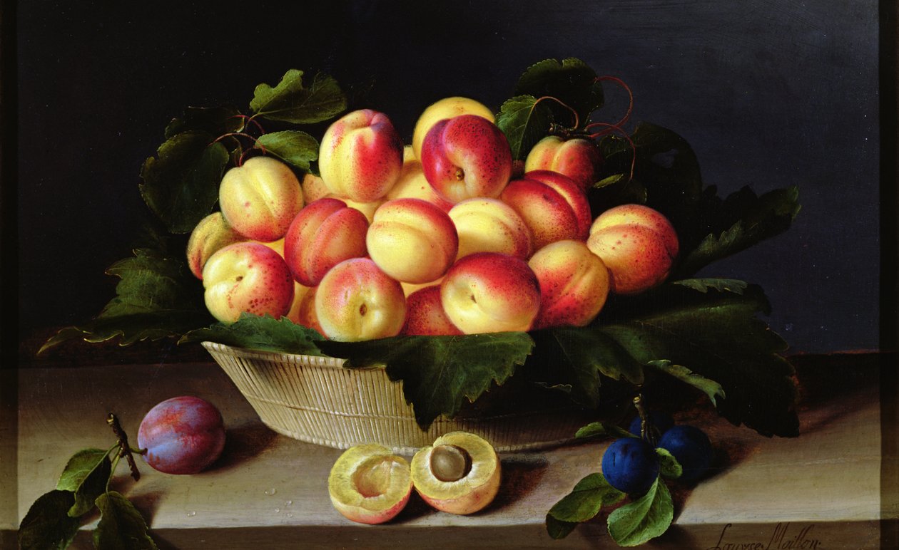 Kosz moreli, 1634 autorstwa Louise Moillon
