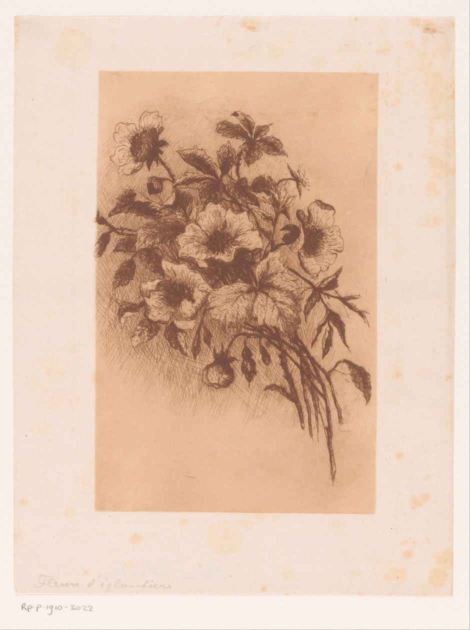 Kwiaty autorstwa Louise Elsen (attributed to)