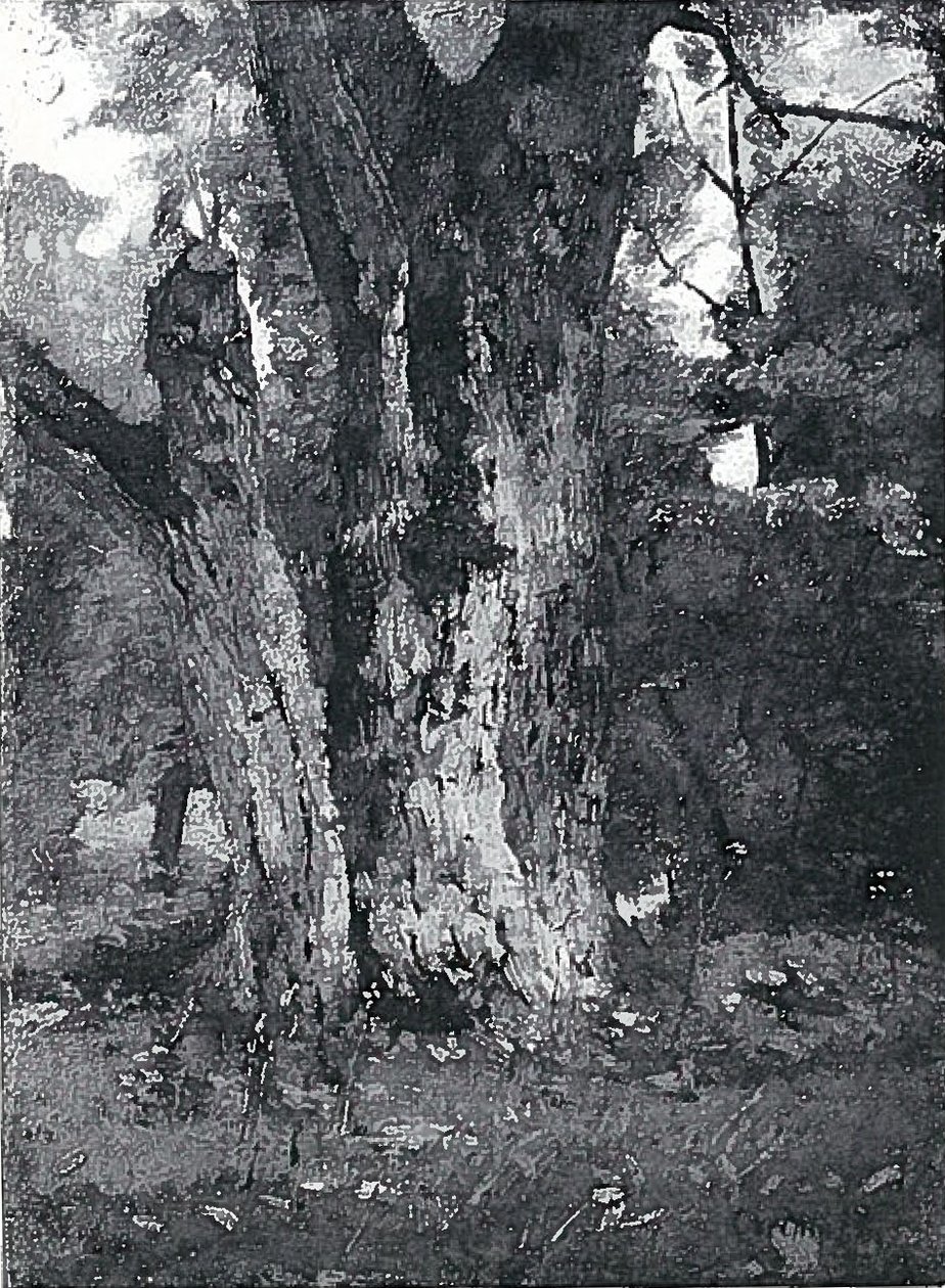 Aweiderpark w Królewcu autorstwa Lovis Corinth