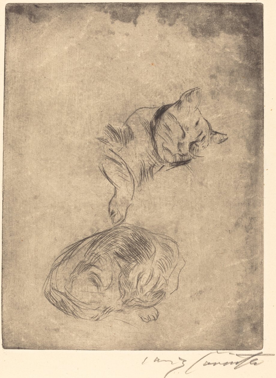 Katzenstudie (badanie kotów) autorstwa Lovis Corinth