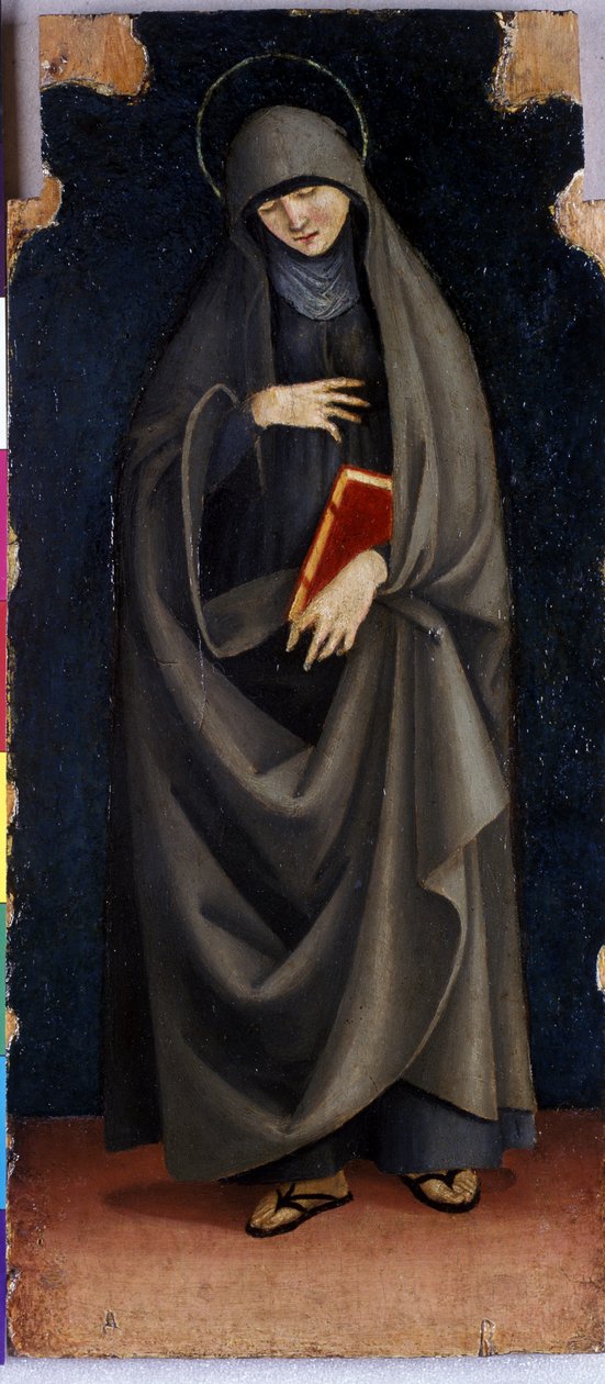 Św. Klara, ok. 1515-20 (tempera na drewnie topoli) autorstwa Luca Signorelli