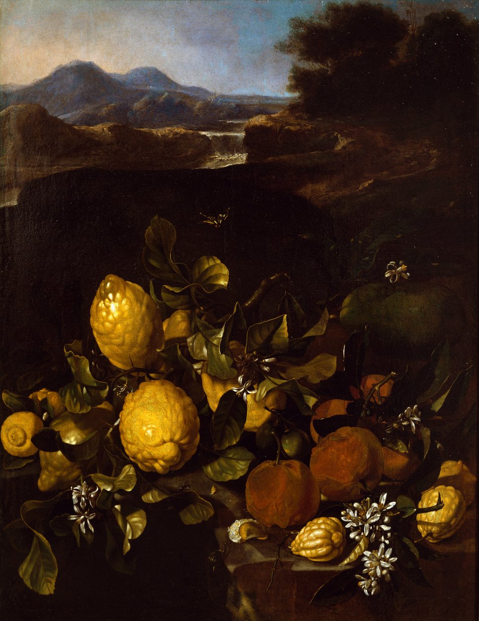 Martwa natura autorstwa Luca Forte