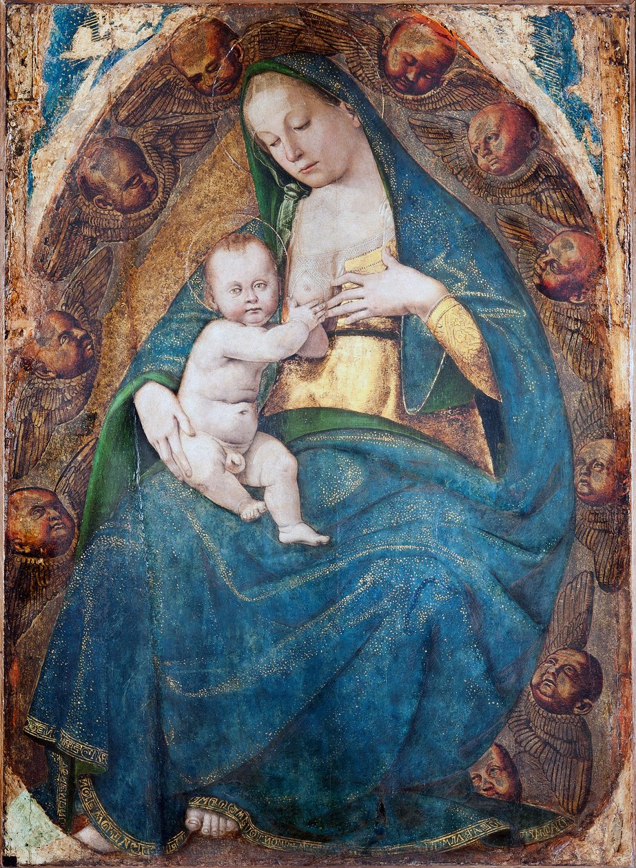 Madonna Opiekująca, 1482-c.1485 autorstwa Luca Signorelli