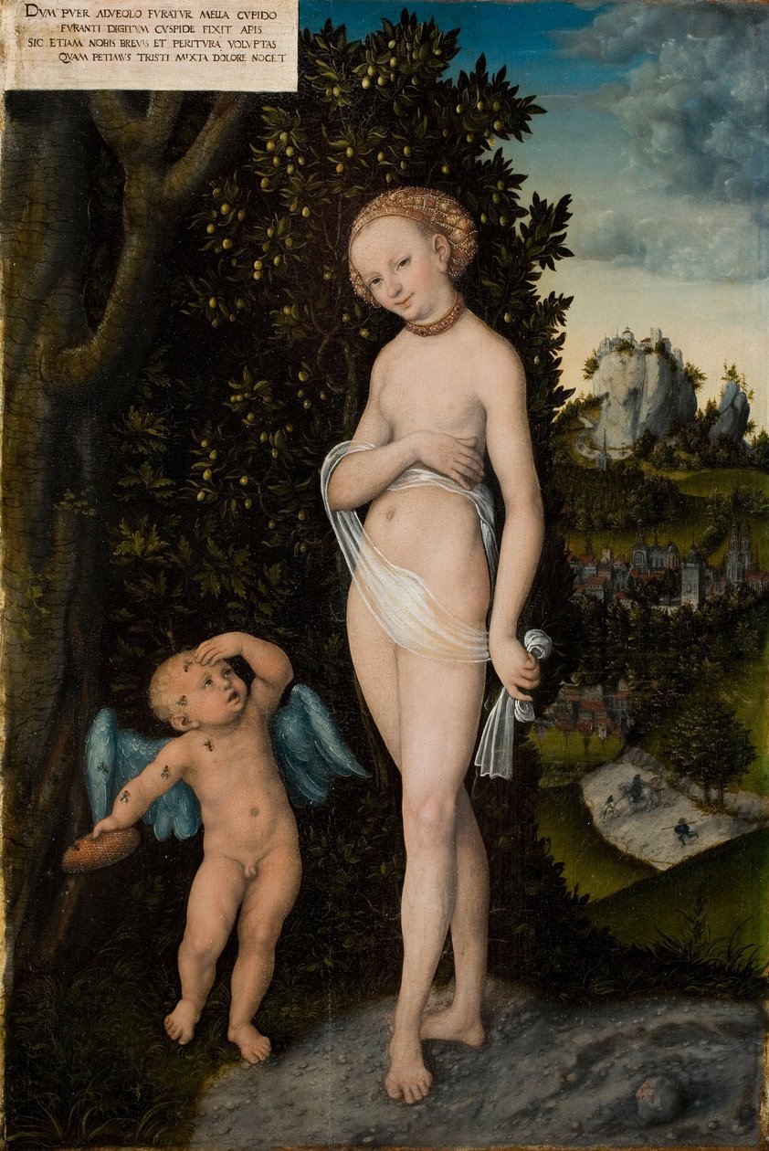 Wenus z miodem kradnącym Kupidyna autorstwa Lucas Cranach the Elder