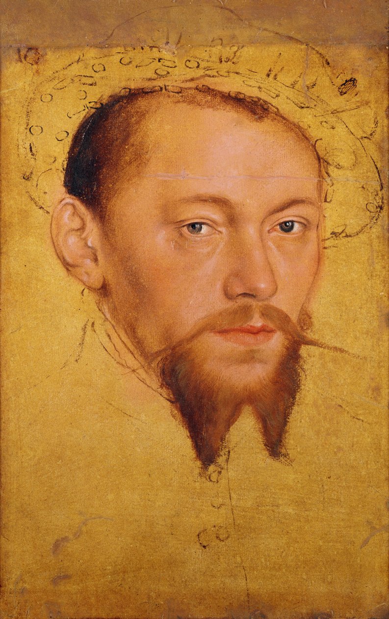 Moritze (1521-53) książę saski, późniejszy elektor (olej, gwasz i wc na papierze) autorstwa Lucas Cranach the Younger