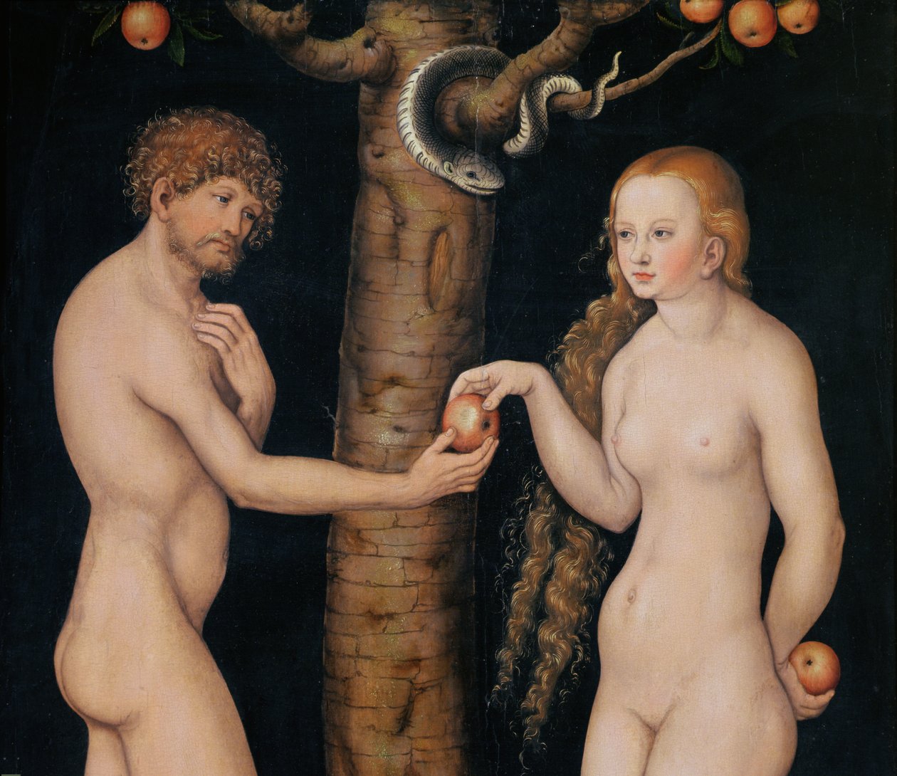 Ewa ofiarująca jabłko Adamowi w Ogrodzie Eden, ok. 1520-25 olej na detalu z drewna 407328 autorstwa Lucas Cranach the Elder