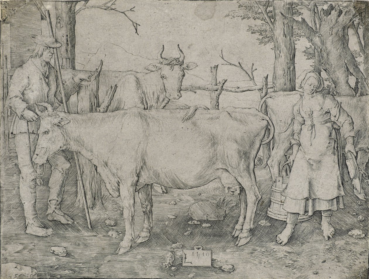 Mleczarka, 1510 autorstwa Lucas van Leyden