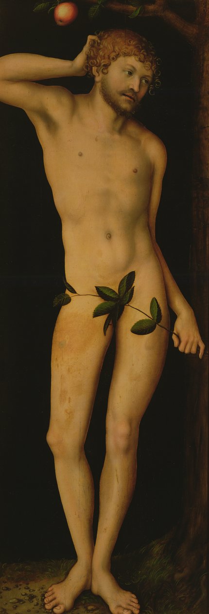 Adam, 1528 autorstwa Lucas Cranach the Elder