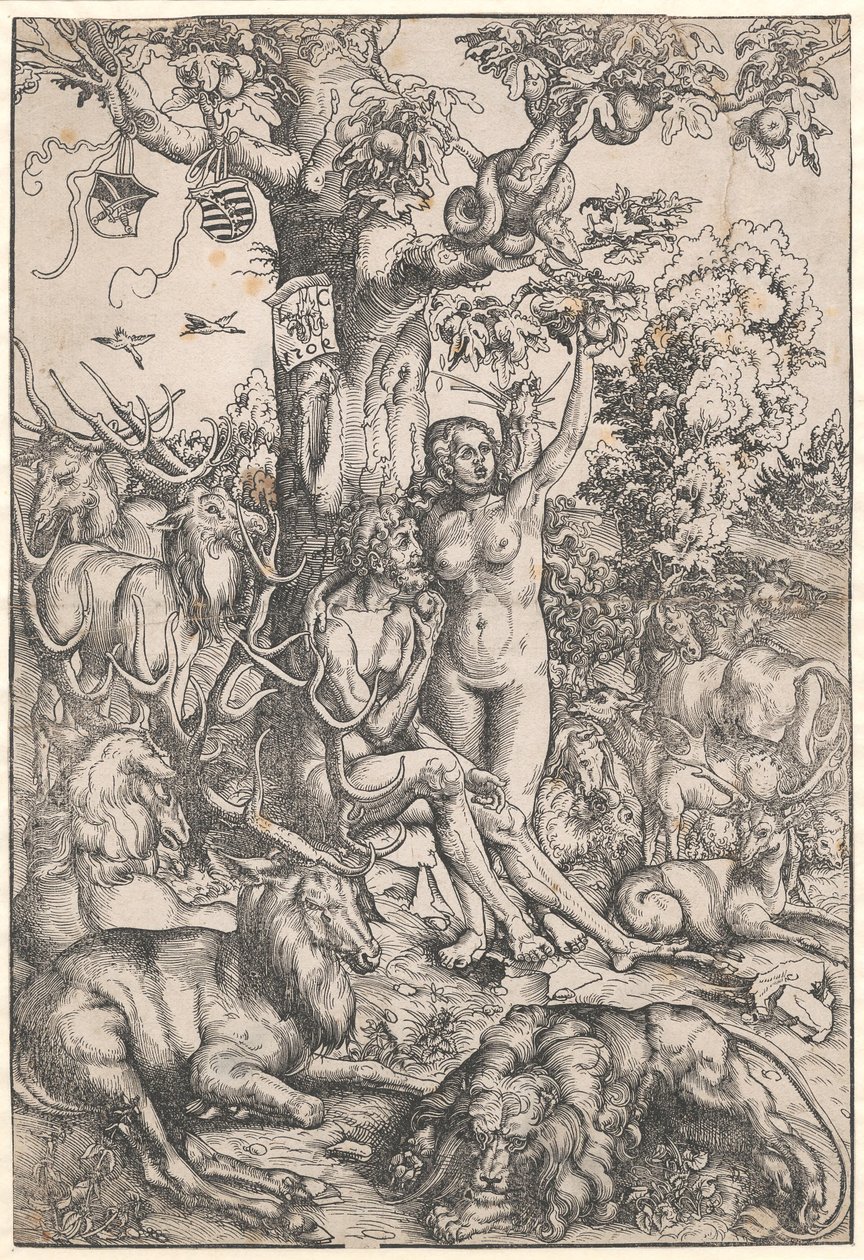 Upadek człowieka autorstwa Lucas Cranach d.Æ.