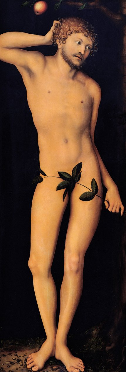Adam, 1528. autorstwa Lucas Cranach the Elder