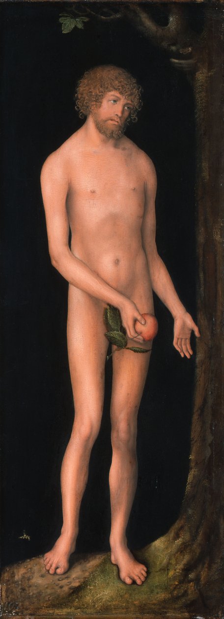 Niemiecki: Adam Adam autorstwa Lucas Cranach the Elder