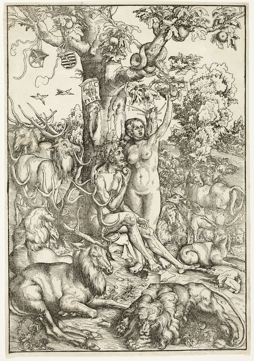 Upadek człowieka autorstwa Lucas Cranach the Elder