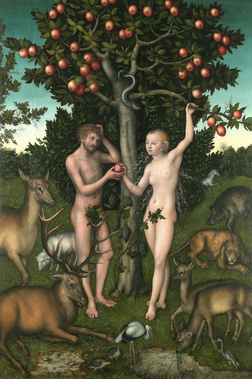 Adam i Ewa autorstwa Lucas the Elder Cranach
