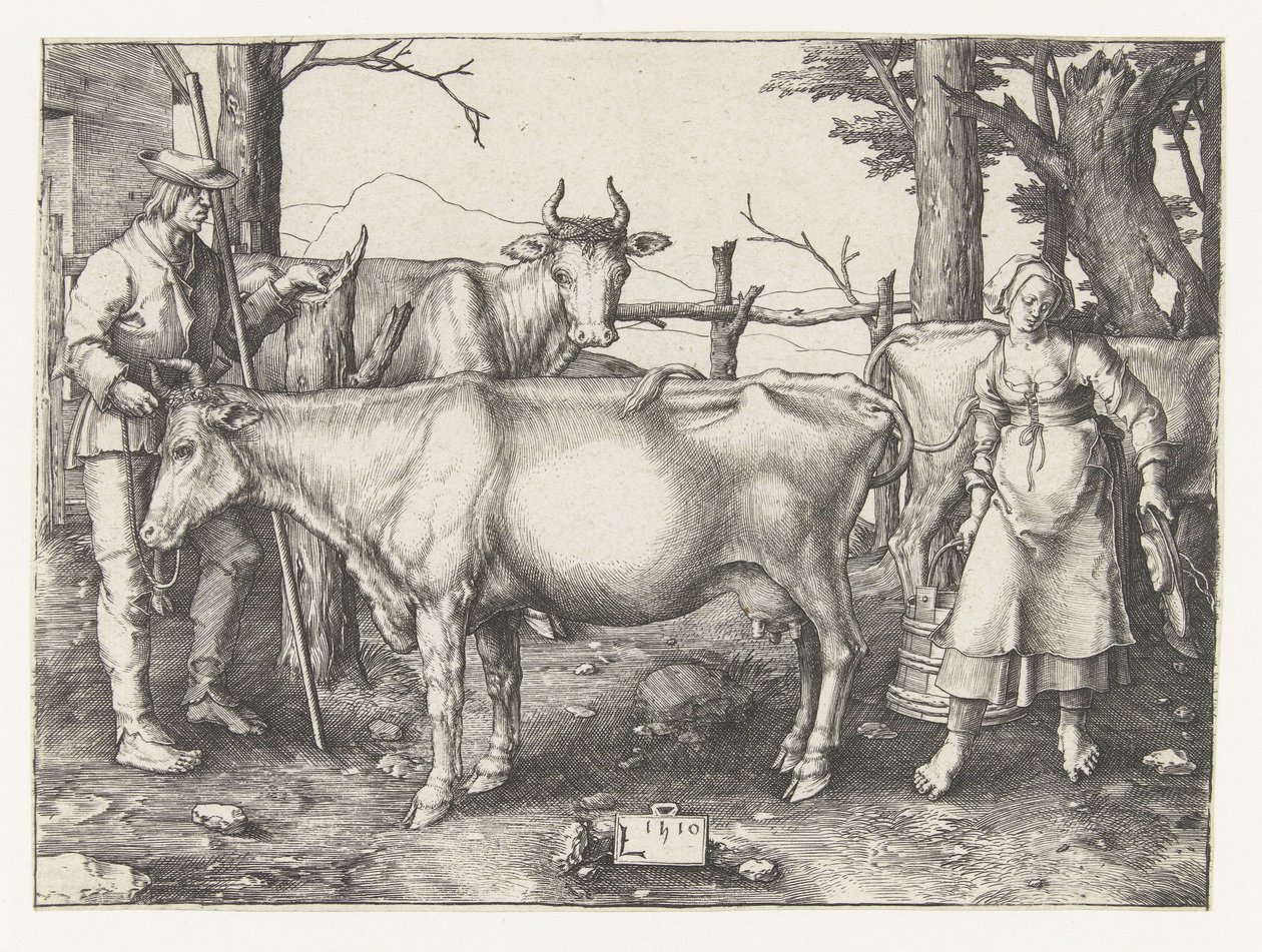 Dojarka autorstwa Lucas van Leyden