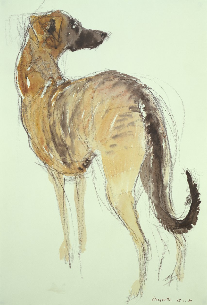 Stojący Lurcher autorstwa Lucy Willis