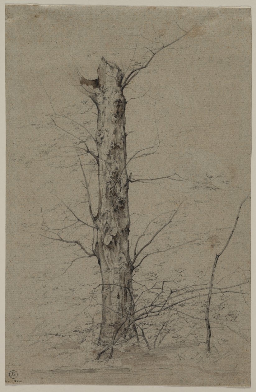 Drzewo, ok. 1835-45. autorstwa Ludwig Ferdinand Schnorr von Carolsfeld