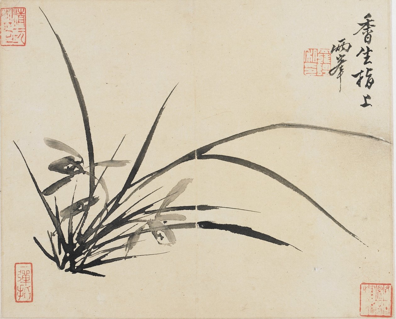 Krajobrazy, kwiaty i ptaki: Orchidea, dynastia Qing, 1780 (tusz na papierze) autorstwa Luo Ping