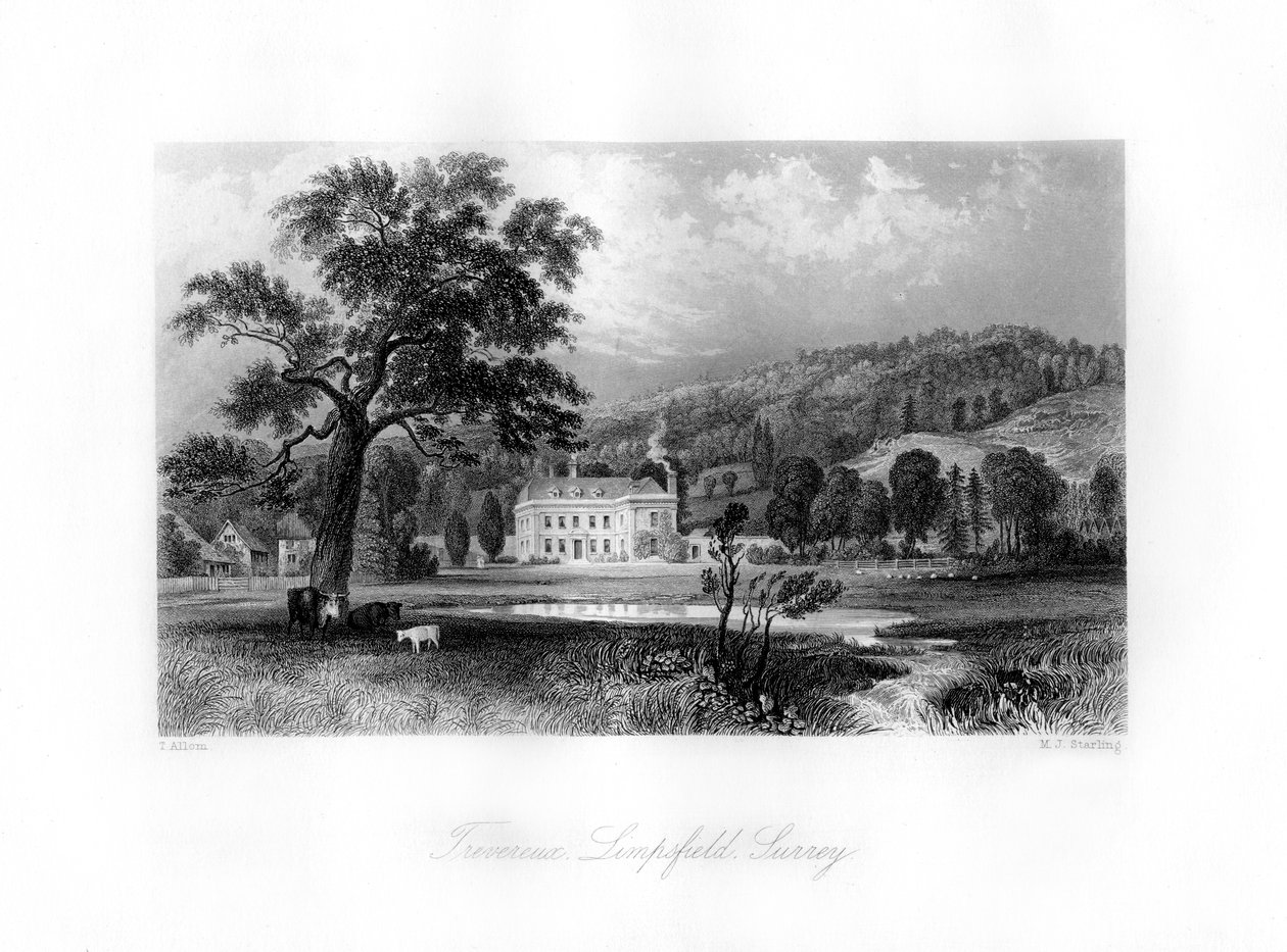 Trevereux, Limpsfield, Surrey, XIX wiek. autorstwa M. J. Starling