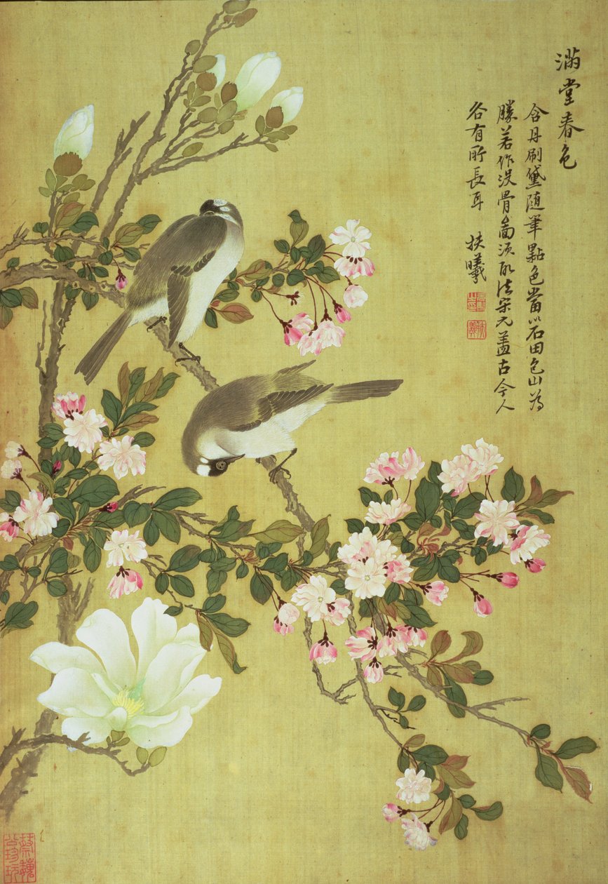Crabapple, Magnolia i Baitou Birds autorstwa Ma Yuanyu