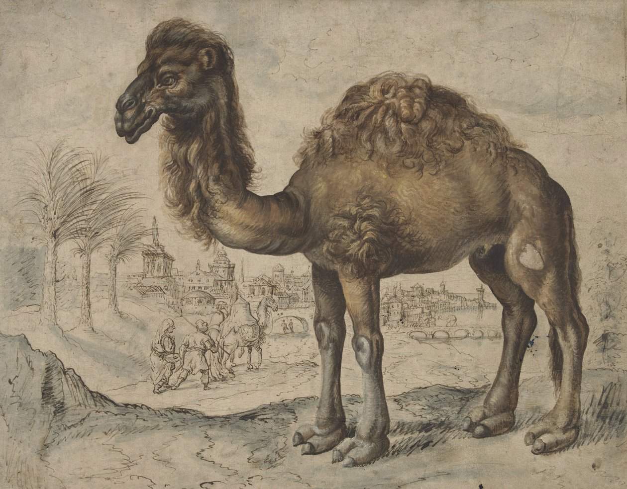 Dromader we wschodnim pejzażu z miastem, 1600 (tusz i pędzel na papierze) autorstwa Maarten de after Vos