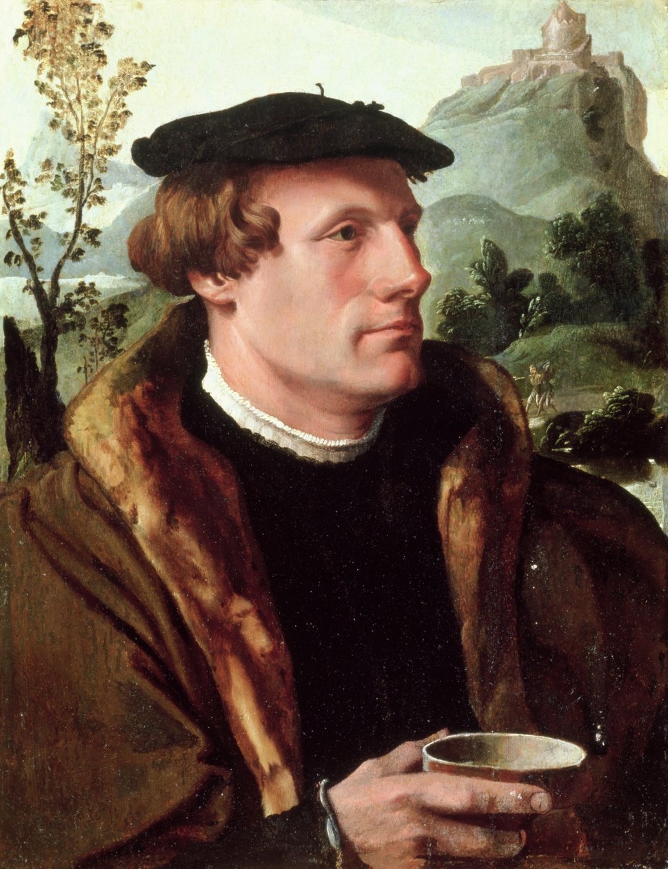 Portret dżentelmena autorstwa Maerten van Heemskerck