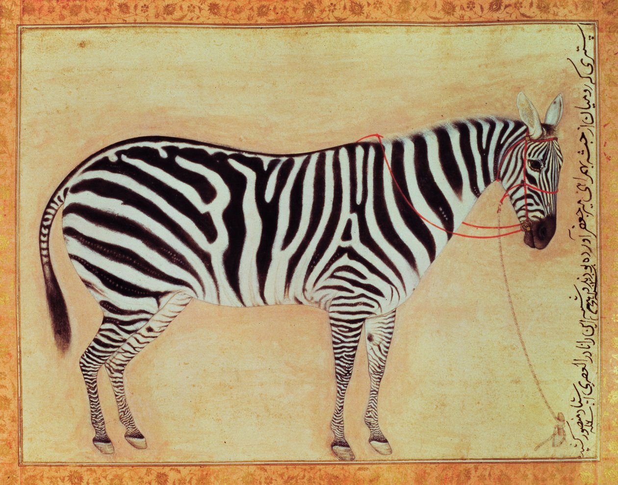Zebra, z Albumu Minto, Mogołów, 1621, autorstwa Mansur