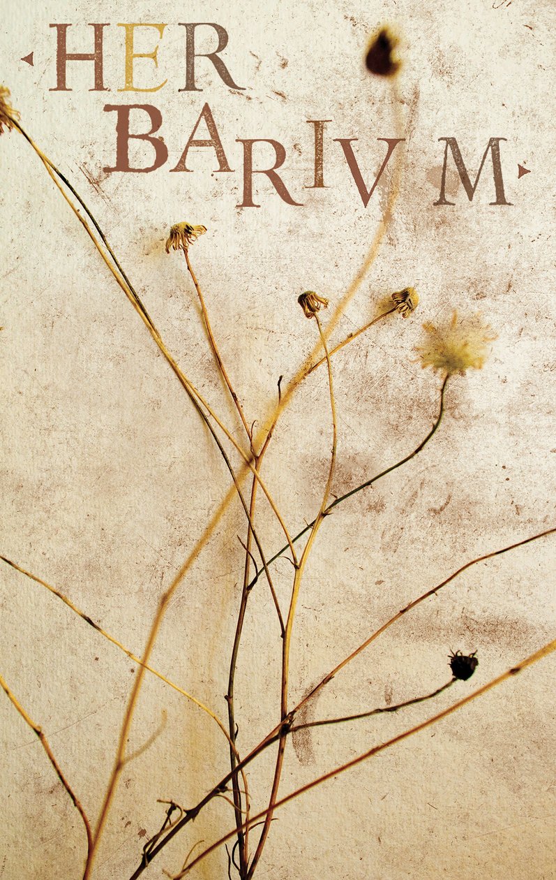 Zielnik, 2014 (media mieszane) autorstwa Marco Campedelli