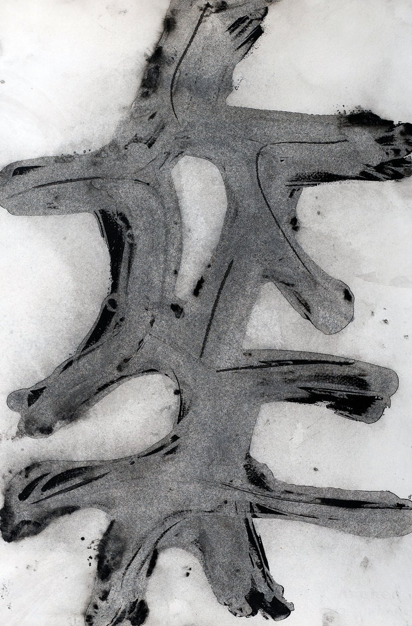 Ramas, 2014 (tusz na papierze) autorstwa Marco Campedelli