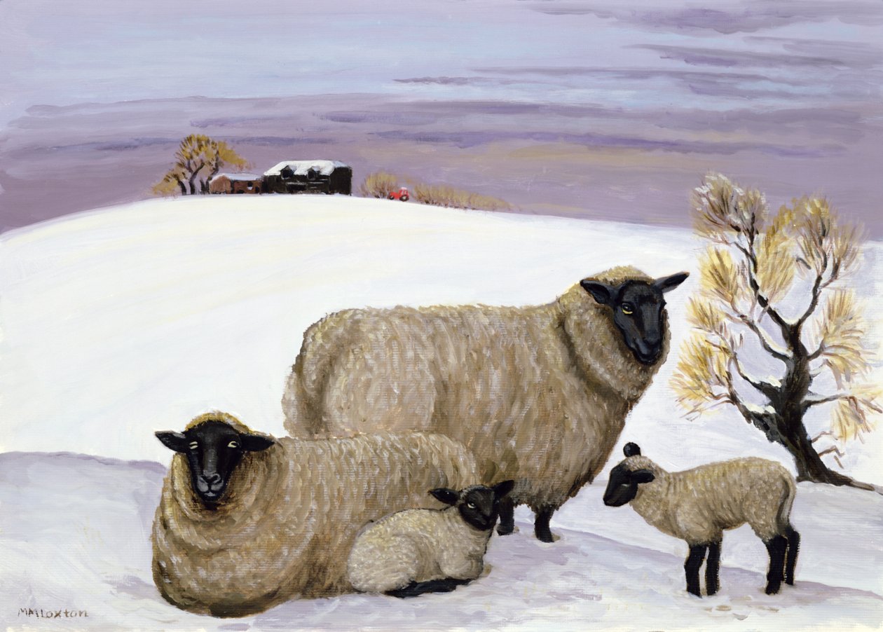 Owce w zimie autorstwa Margaret Loxton