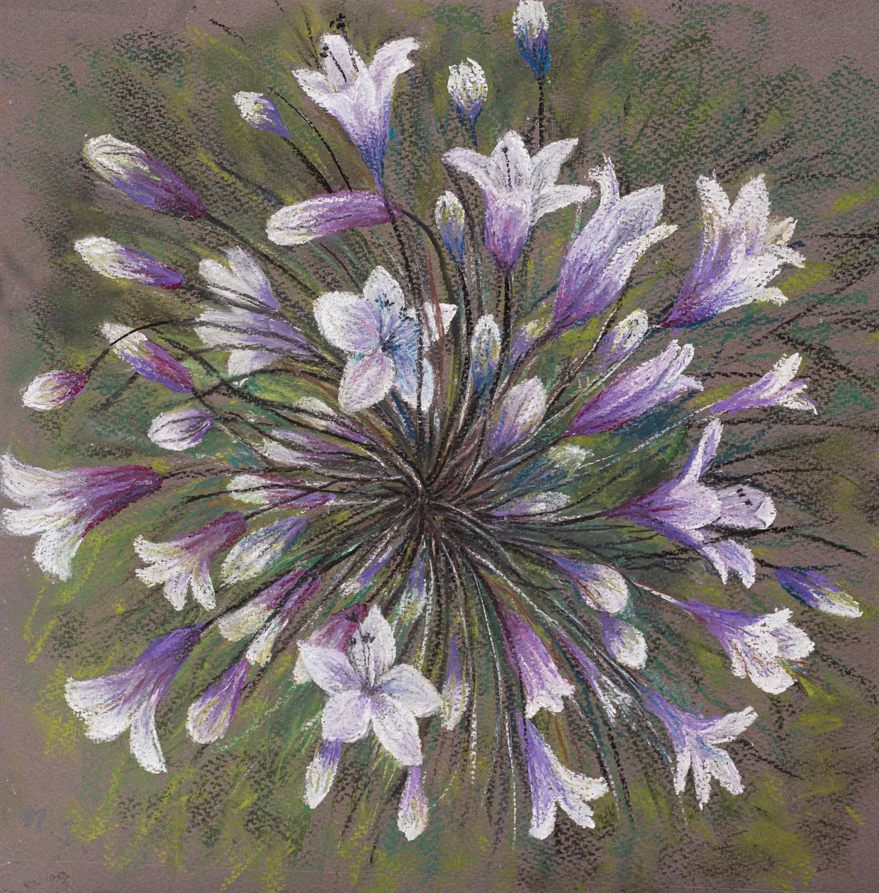 Rodzina Allium, 2020 (pastel) autorstwa Margo Starkey