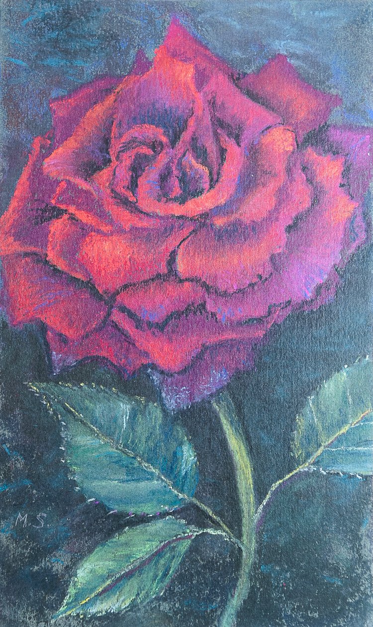 Piękno róży, 2020 (pastel) autorstwa Margo Starkey
