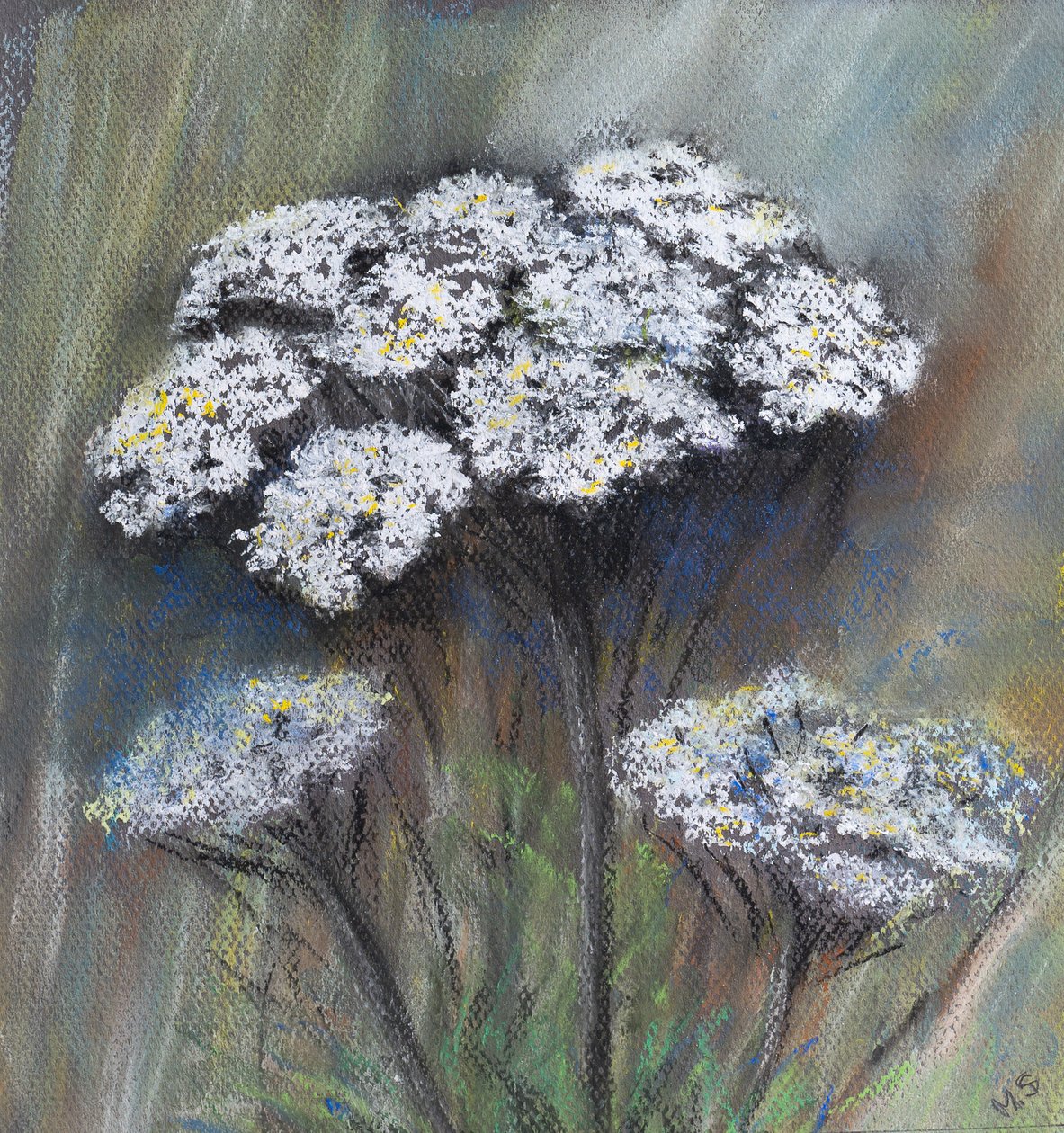 Pietruszka krowa (Anthriscus Sylvestris), 2021 (pastel) autorstwa Margo Starkey