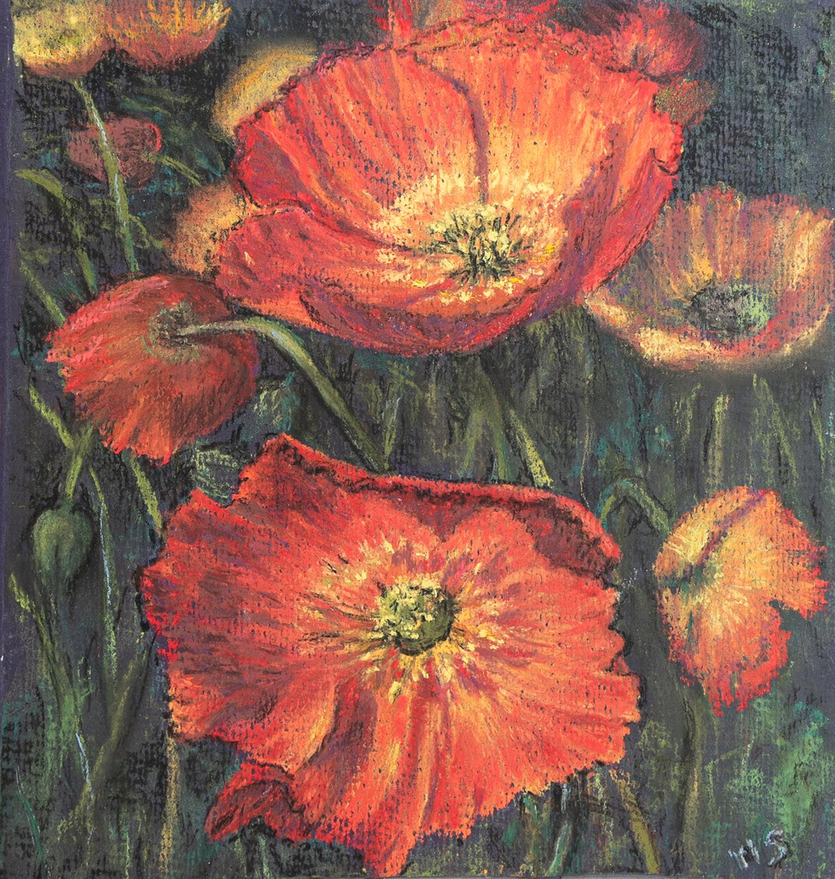 Pierwsze maki, 2020 (pastel) autorstwa Margo Starkey