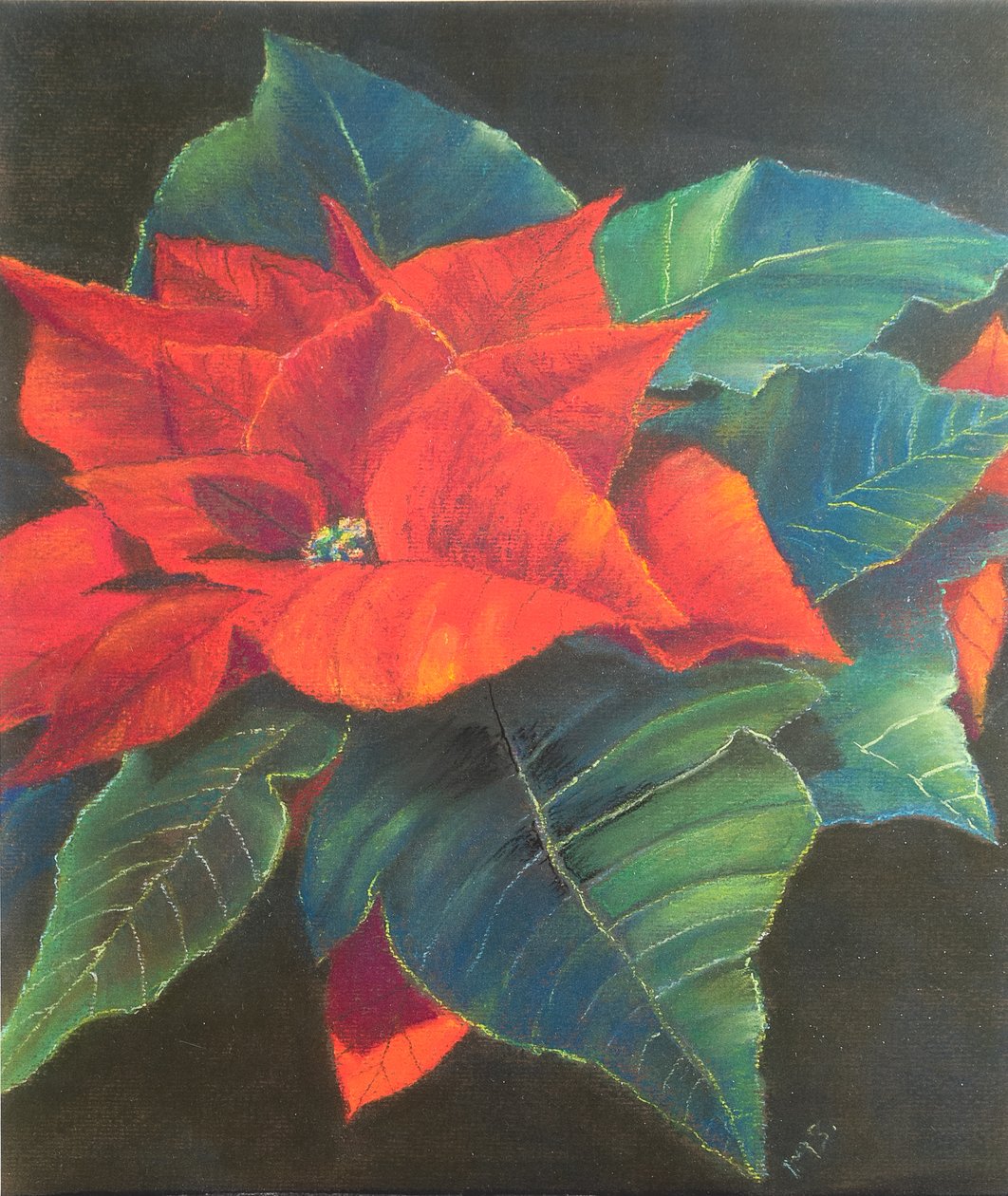 Poinsecja, 2022 (pastel) autorstwa Margo Starkey