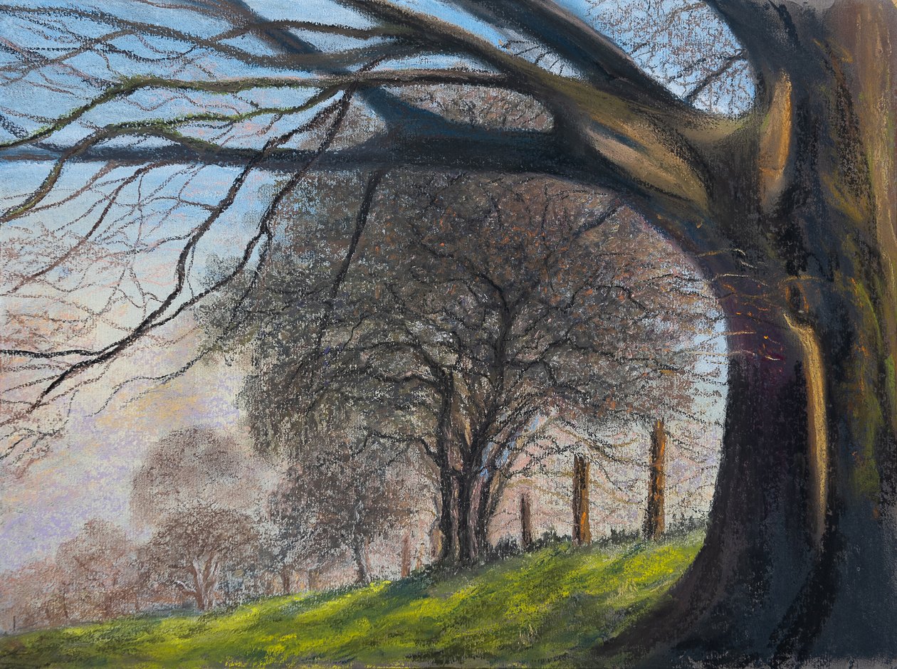 Drzewa wiatrem...Shroesbury, 2020 (pastel) autorstwa Margo Starkey