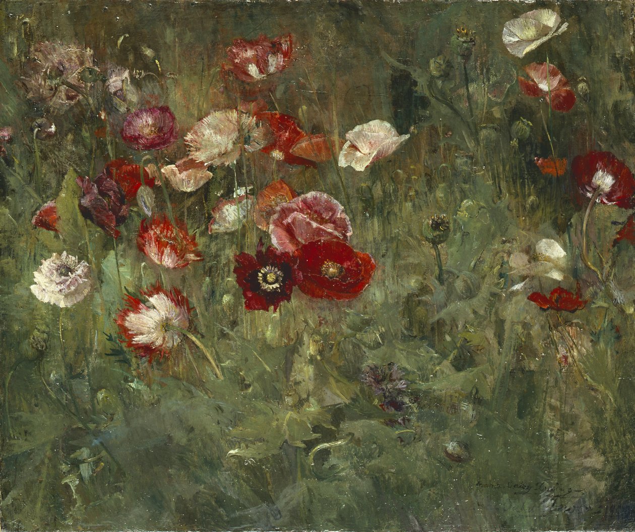 Łóżko maków, 1909 autorstwa Maria Oakey Dewing