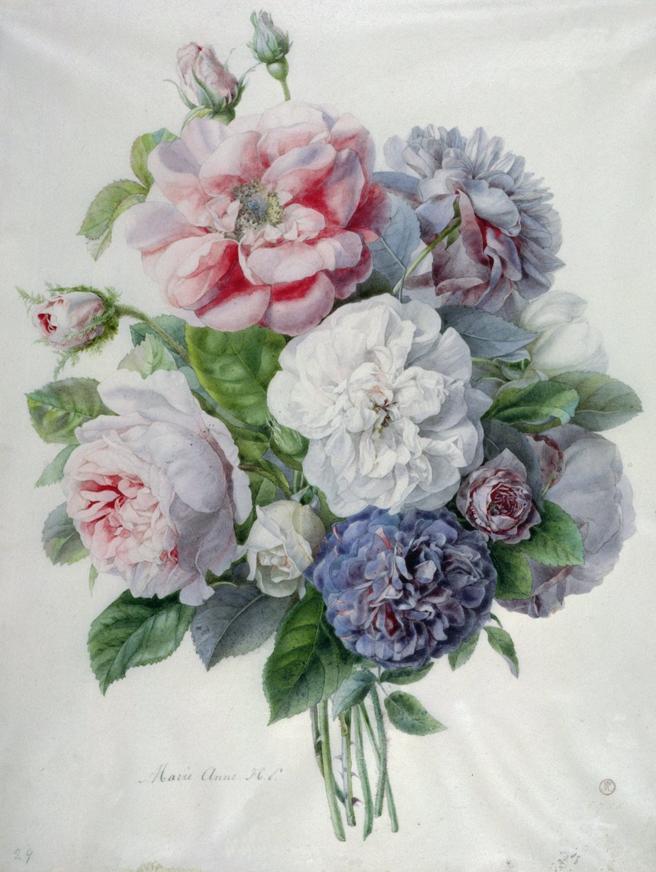 Kawałki kwiatów autorstwa Marie Anne