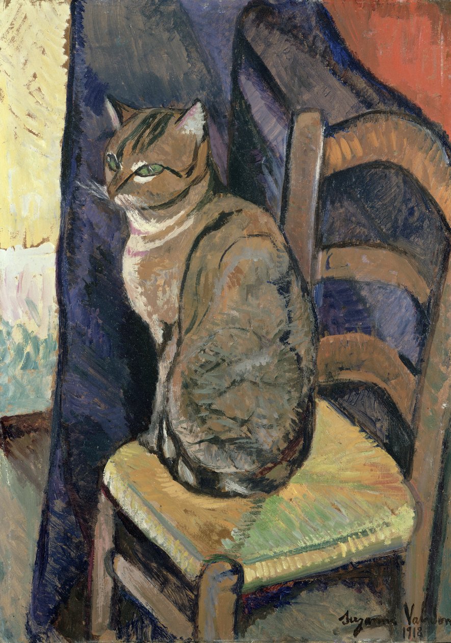 Studium kota, 1918 autorstwa Marie Clementine (Suzanne) Valadon