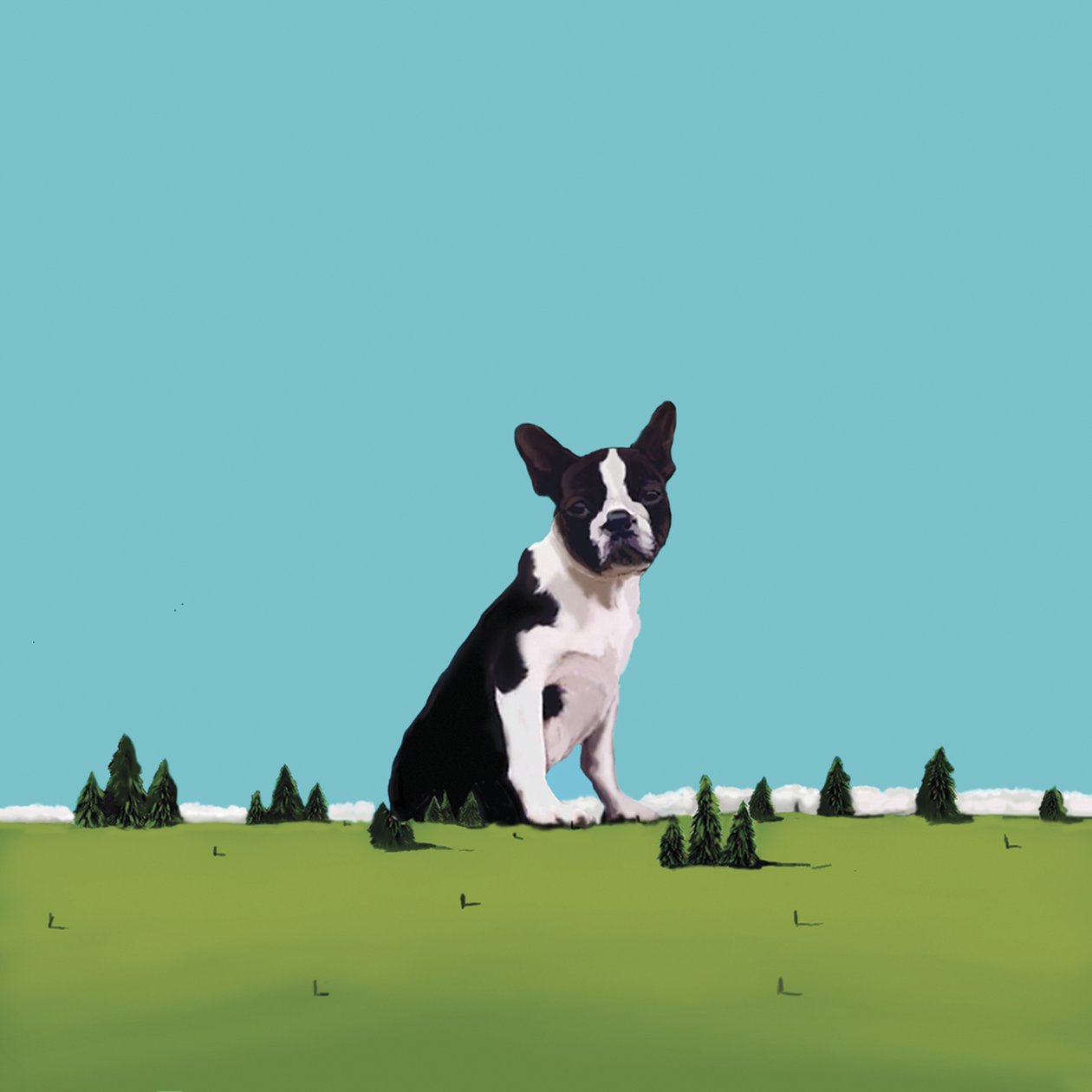 Boston Terrier, 2008 (akryl na płótnie) autorstwa Marjorie Weiss