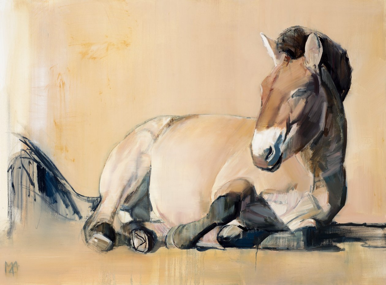Plateau Sun (Przewalski), 2014, autorstwa Mark Adlington