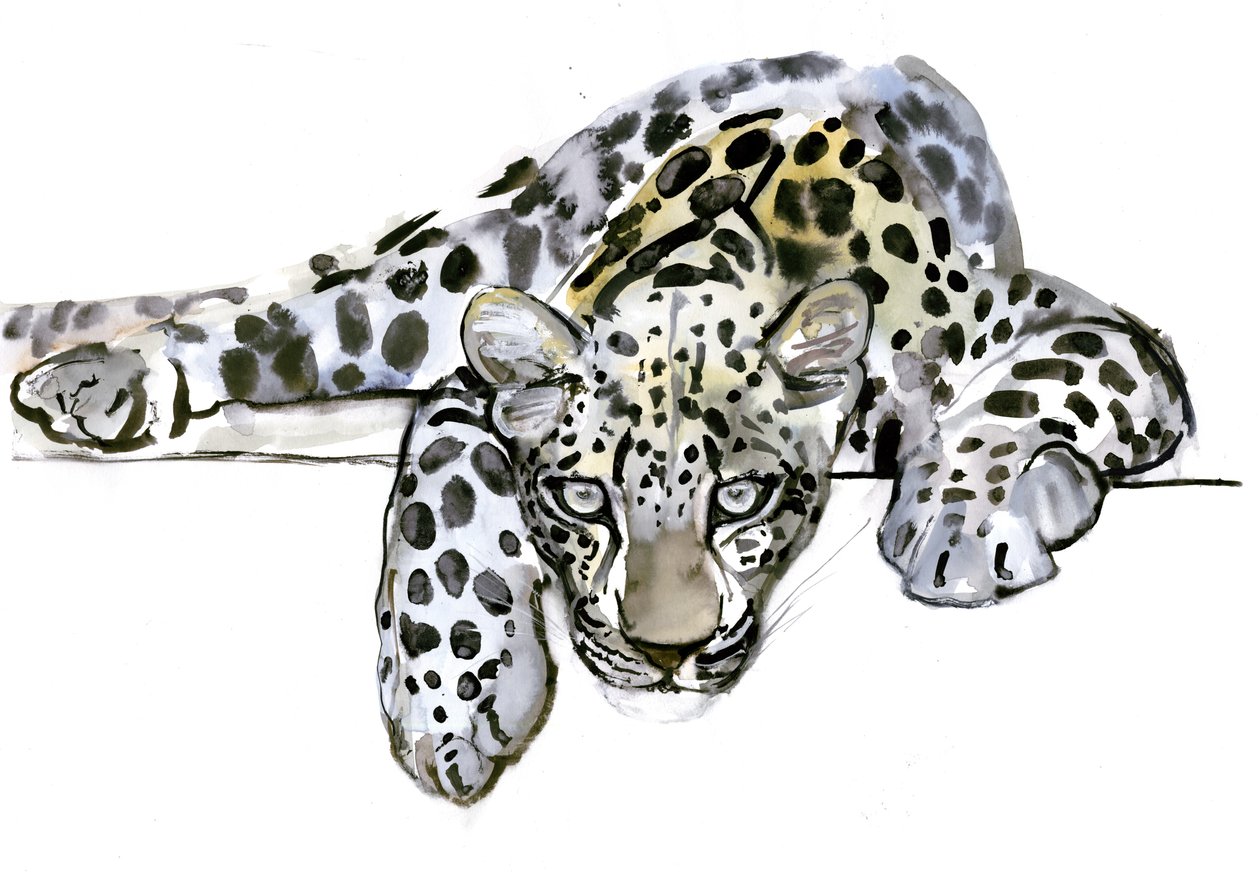 Leopard arabski, 2008 autorstwa Mark Adlington