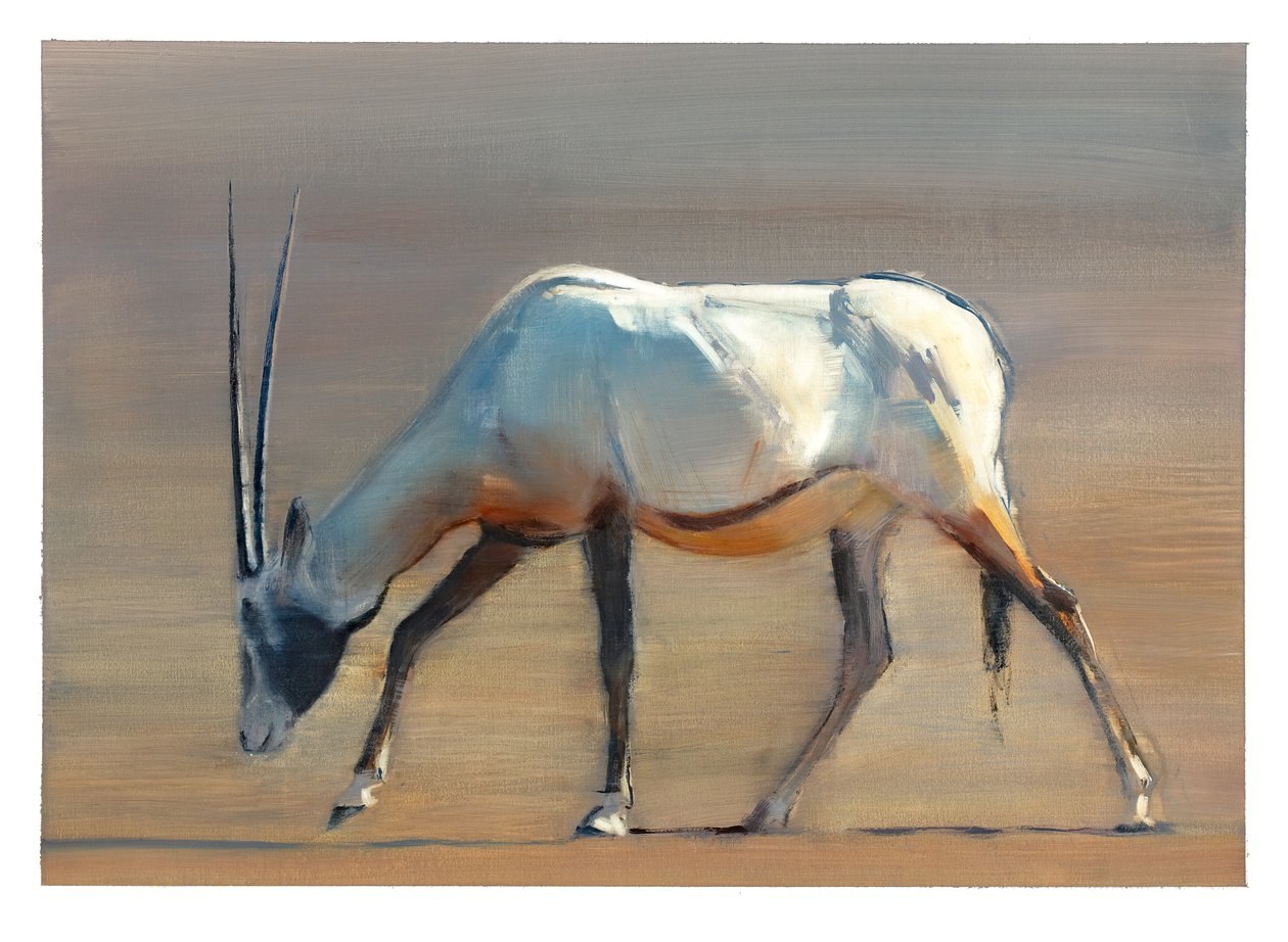 Arabian Oryx, 2010 (olej na papierze) autorstwa Mark Adlington