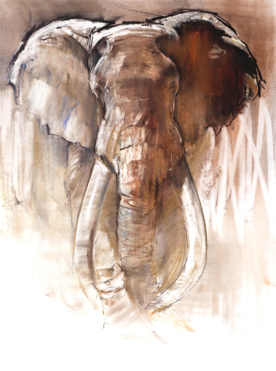 Słoń byka, 2018 autorstwa Mark Adlington