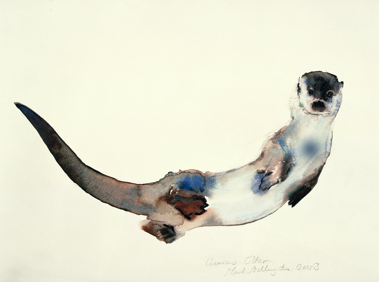 Ciekawa wydra, 2003 autorstwa Mark Adlington