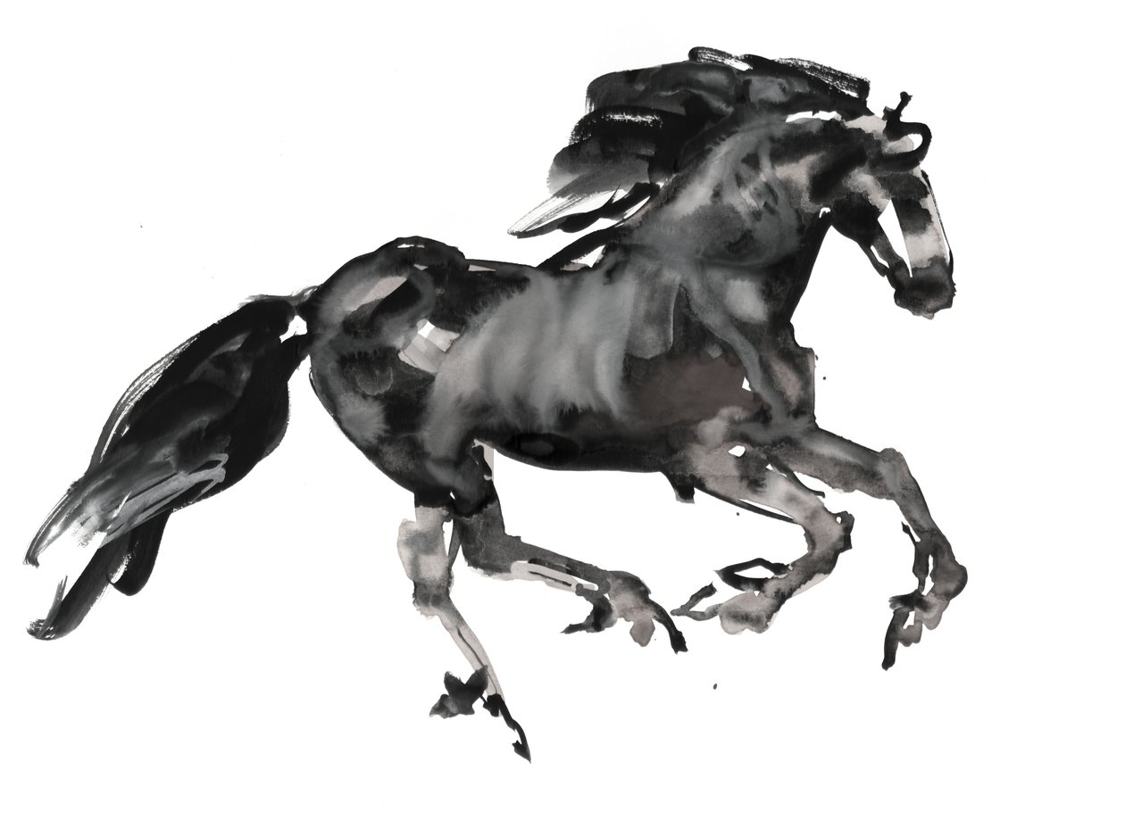 Galop, 2015, (tusz i akwarela na papierze) autorstwa Mark Adlington