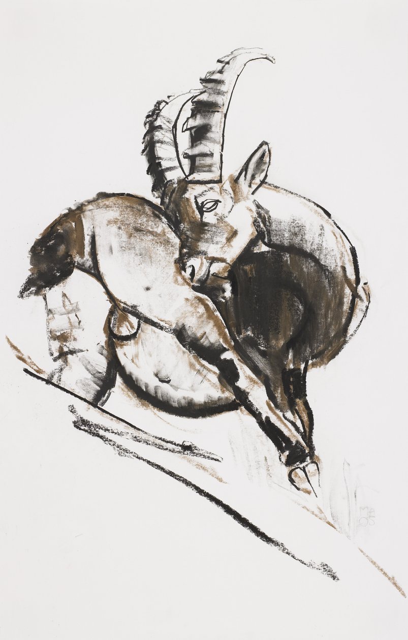 Drapanie (węgiel i conte na papierze) autorstwa Mark Adlington