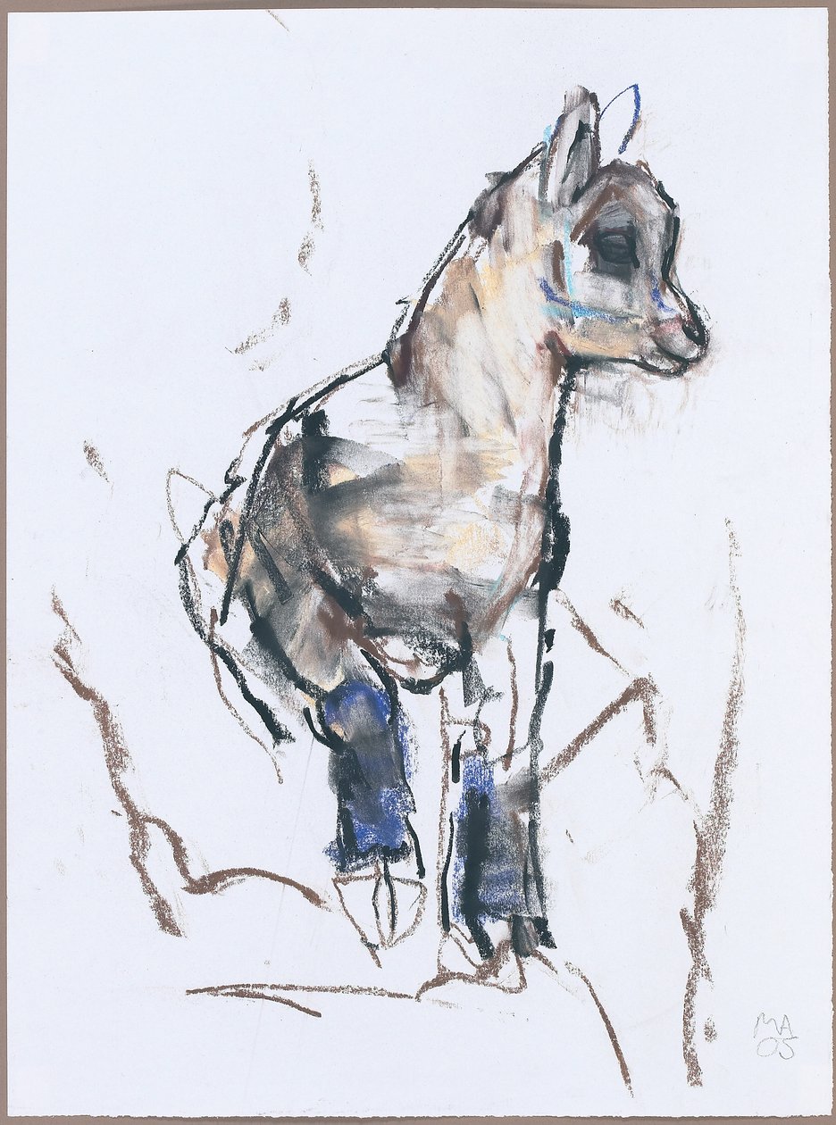 Ibex Kid (węgiel i conte na papierze) autorstwa Mark Adlington
