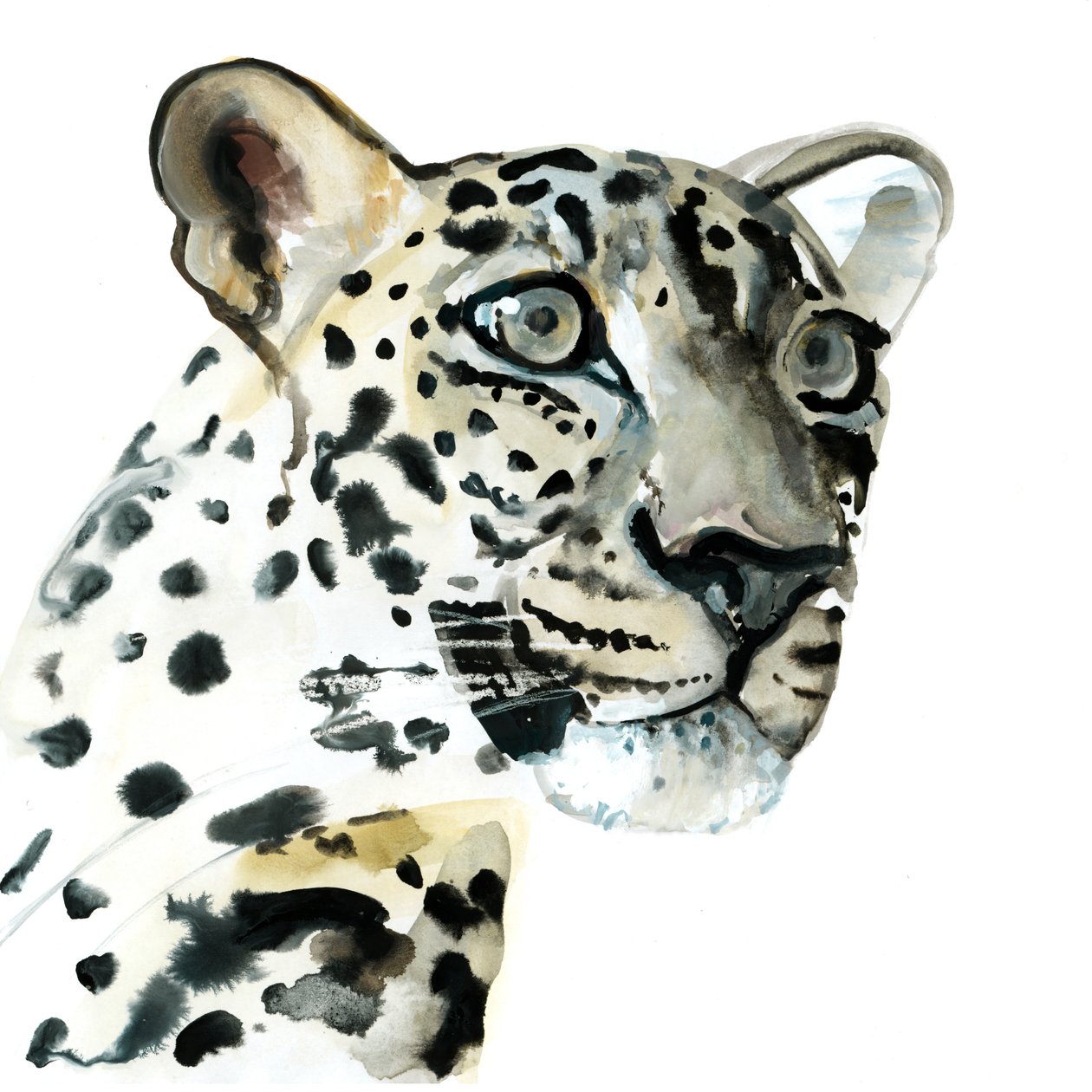 Zamiar, 2015 autorstwa Mark Adlington