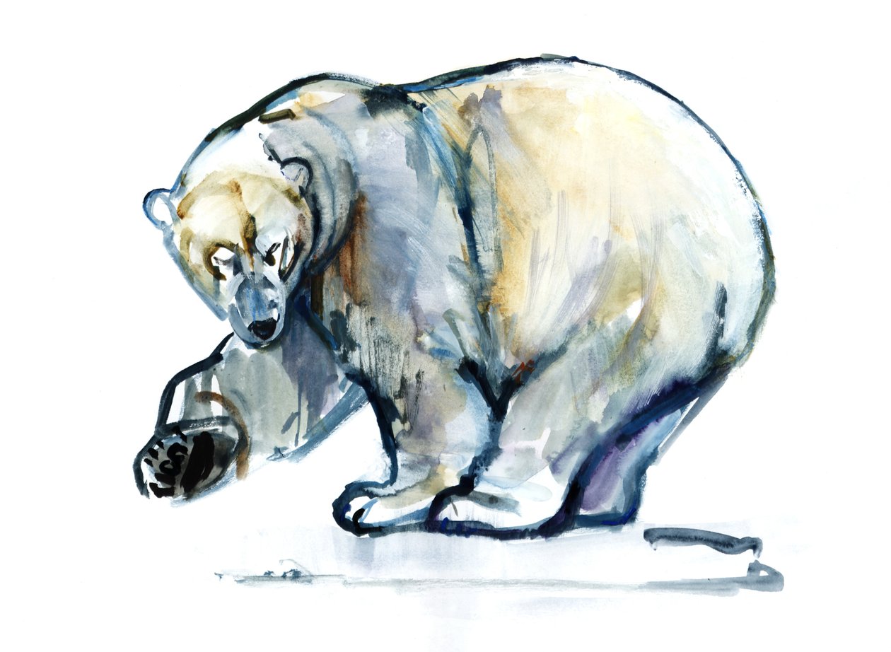 Isbjørn,2013,(akwarela i gwasz na papierze) autorstwa Mark Adlington